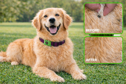 TickZero Natural Anti-Tick Repellent Collar